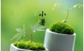 【生活預(yù)報】東方和利說天氣，今日小暑